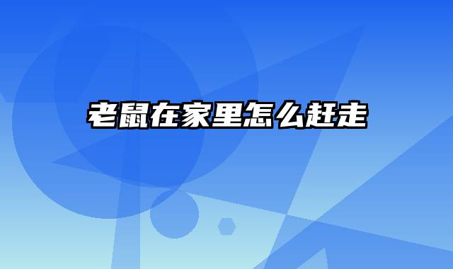 老鼠在家里怎么赶走