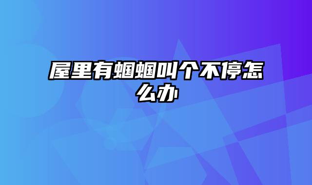 屋里有蝈蝈叫个不停怎么办