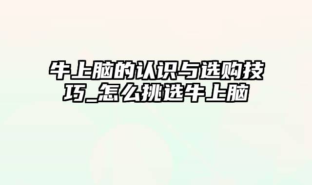 牛上脑的认识与选购技巧_怎么挑选牛上脑