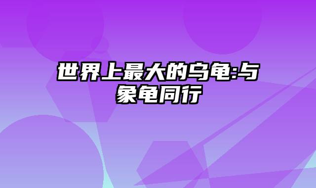 世界上最大的乌龟:与象龟同行