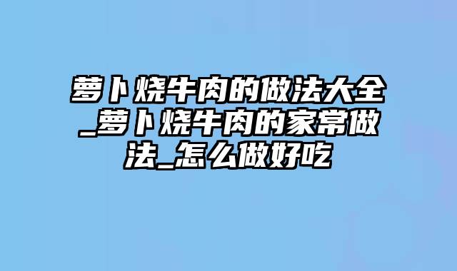 萝卜烧牛肉的做法大全_萝卜烧牛肉的家常做法_怎么做好吃