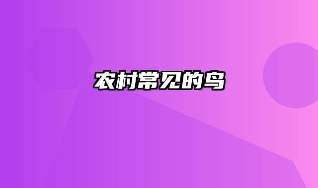 农村常见的鸟