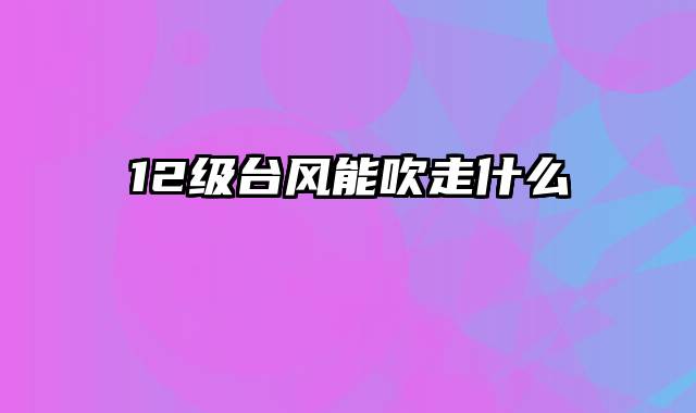 12级台风能吹走什么