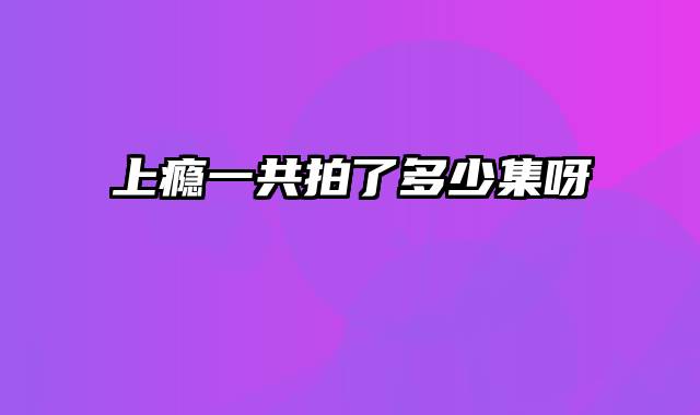 上瘾一共拍了多少集呀