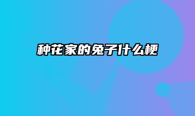 种花家的兔子什么梗