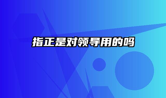指正是对领导用的吗