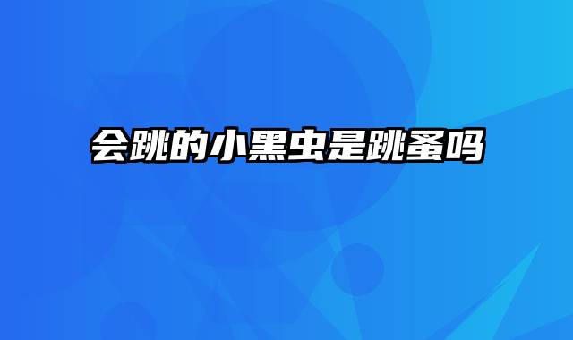会跳的小黑虫是跳蚤吗