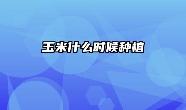 玉米什么时候种植