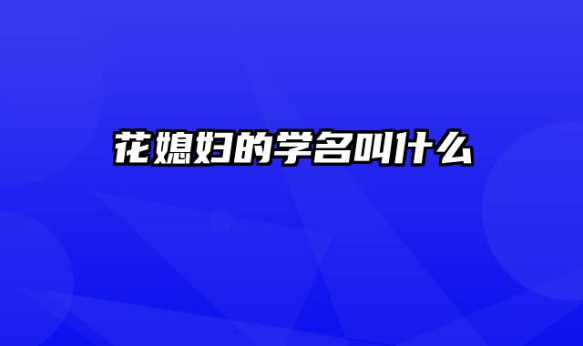 花媳妇的学名叫什么