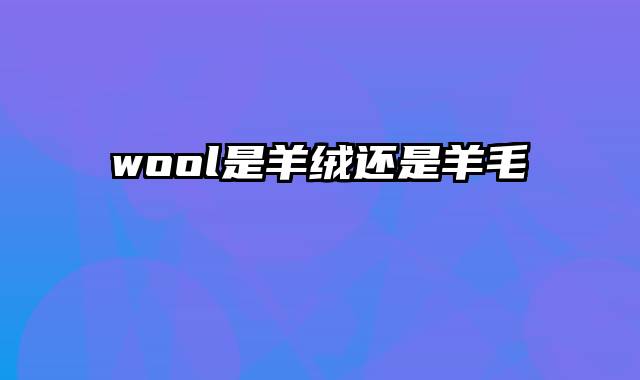 wool是羊绒还是羊毛