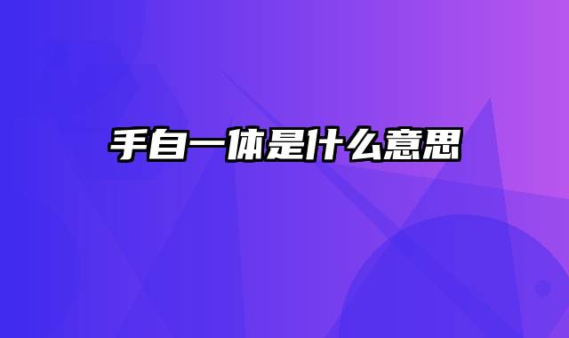 手自一体是什么意思