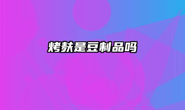 烤麸是豆制品吗
