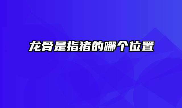 龙骨是指猪的哪个位置
