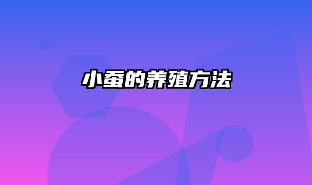 小蚕的养殖方法