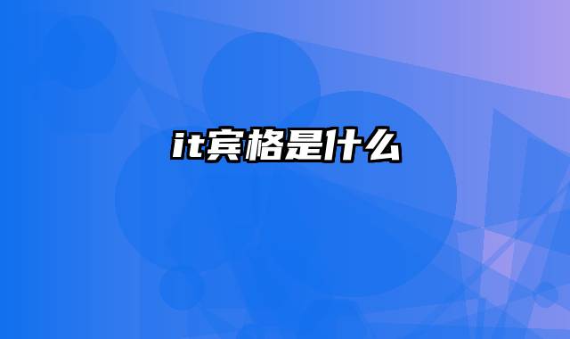 it宾格是什么