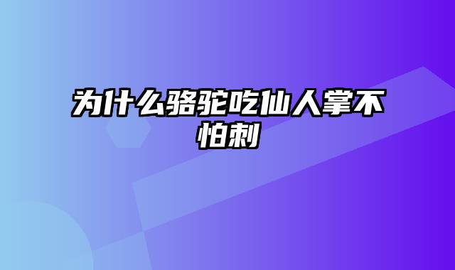 为什么骆驼吃仙人掌不怕刺