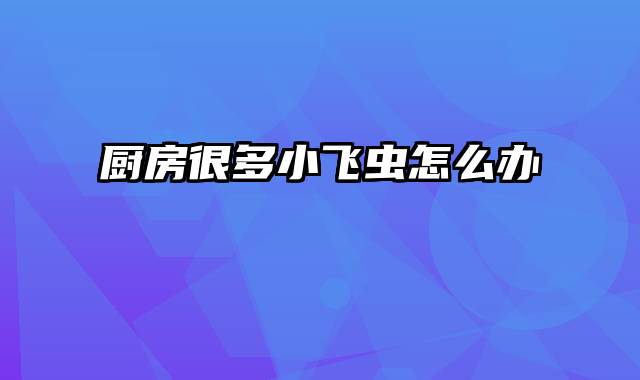 厨房很多小飞虫怎么办