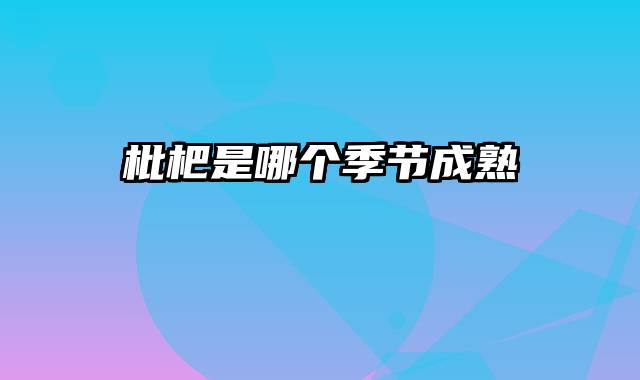 枇杷是哪个季节成熟