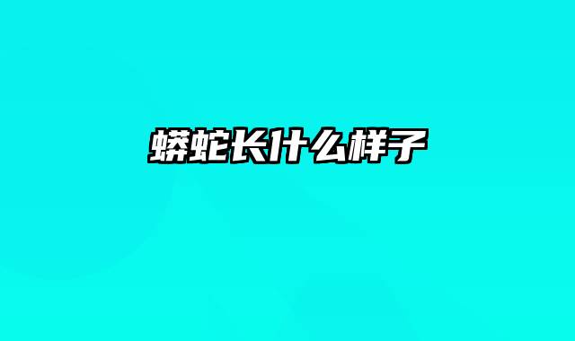 蟒蛇长什么样子