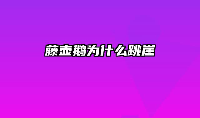 藤壶鹅为什么跳崖