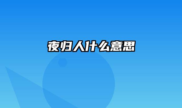 夜归人什么意思