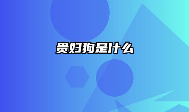 贵妇狗是什么