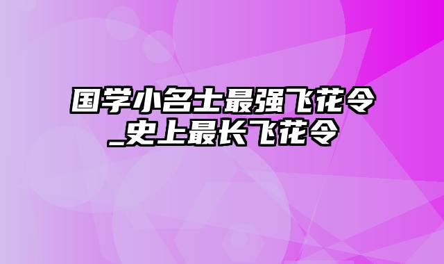 国学小名士最强飞花令_史上最长飞花令
