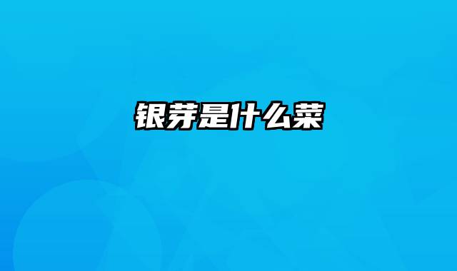 银芽是什么菜