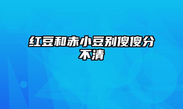 红豆和赤小豆别傻傻分不清