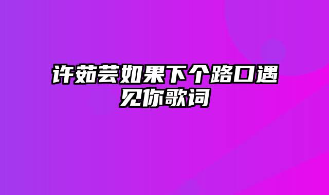许茹芸如果下个路口遇见你歌词