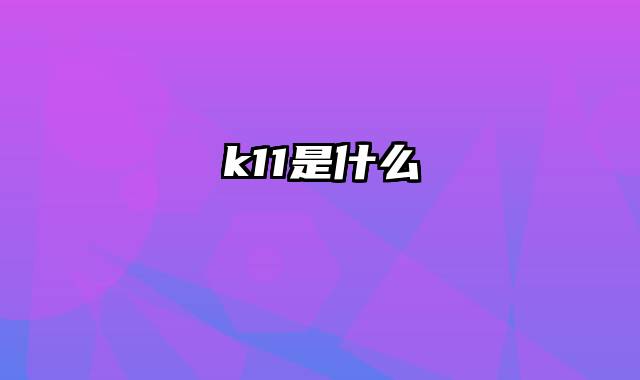 k11是什么