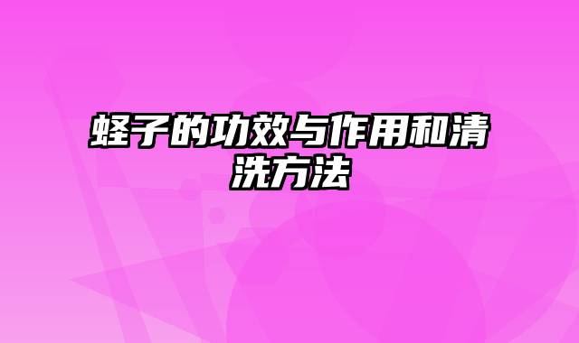 蛏子的功效与作用和清洗方法