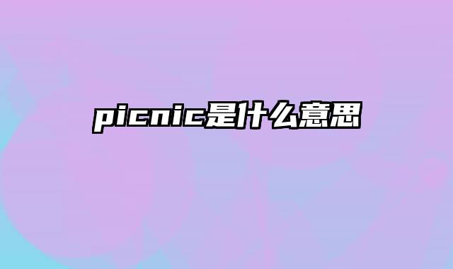 picnic是什么意思