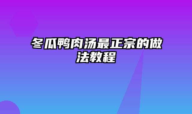 冬瓜鸭肉汤最正宗的做法教程