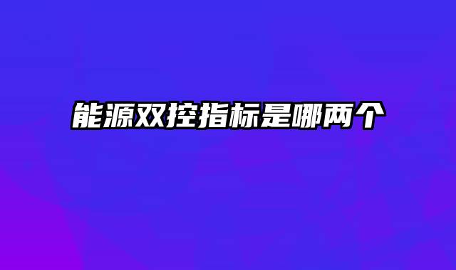 能源双控指标是哪两个