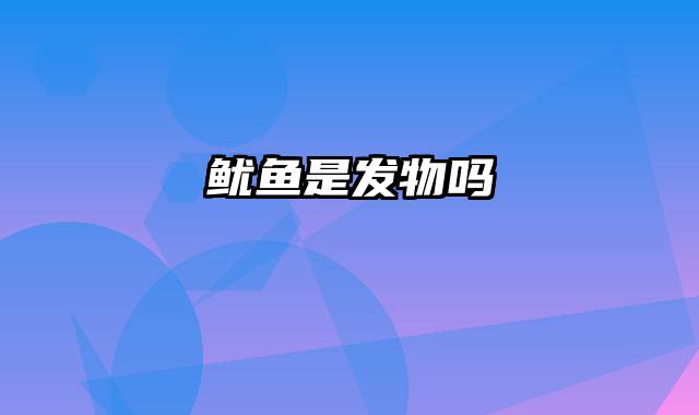 鱿鱼是发物吗