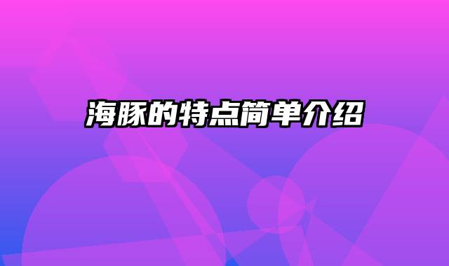 海豚的特点简单介绍