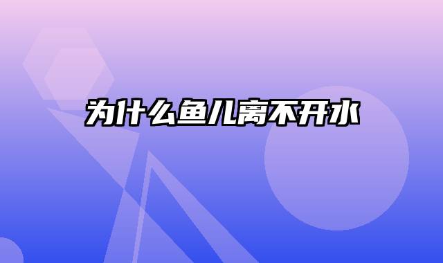 为什么鱼儿离不开水
