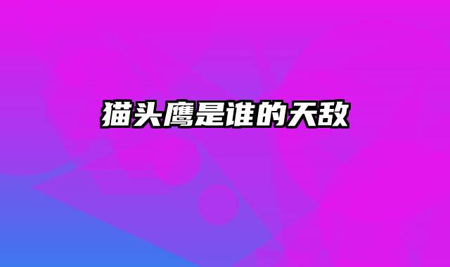 猫头鹰是谁的天敌