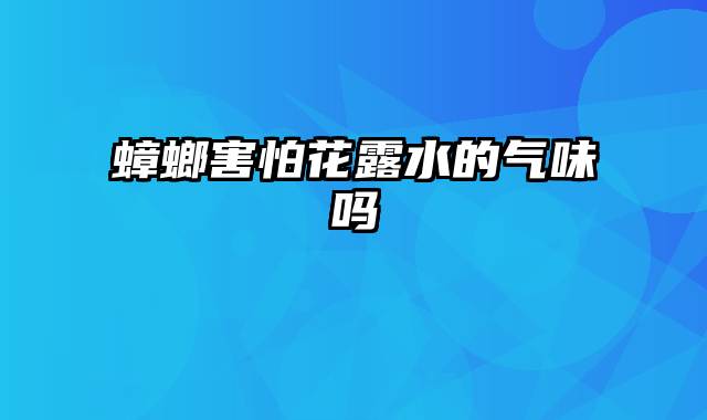 蟑螂害怕花露水的气味吗