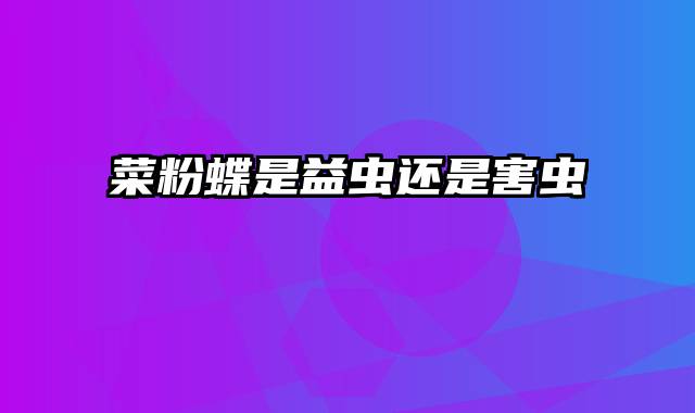 菜粉蝶是益虫还是害虫