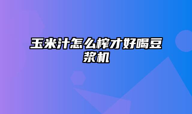玉米汁怎么榨才好喝豆浆机