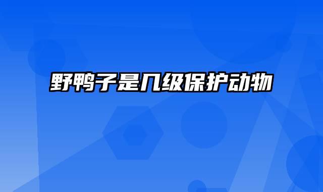 野鸭子是几级保护动物