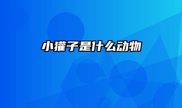 小獾子是什么动物