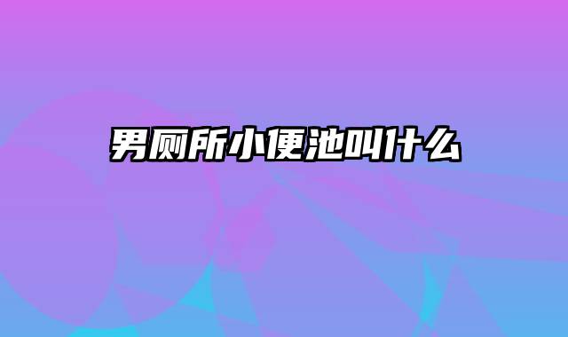 男厕所小便池叫什么
