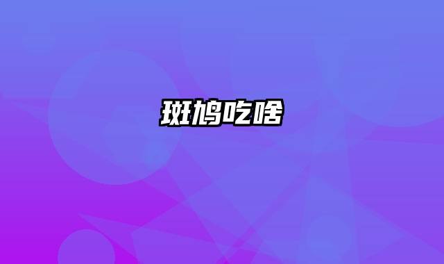 斑鸠吃啥