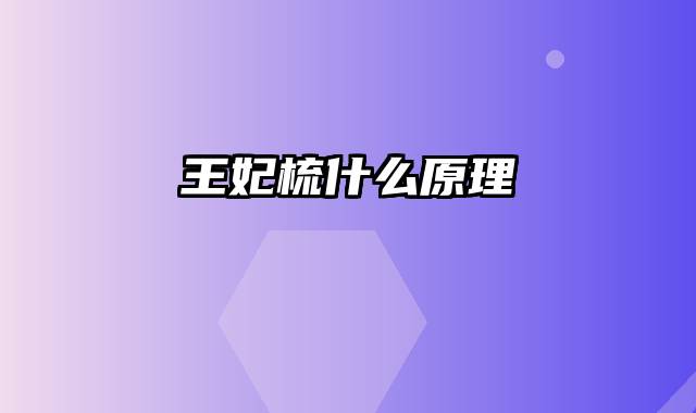 王妃梳什么原理