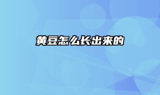 黄豆怎么长出来的
