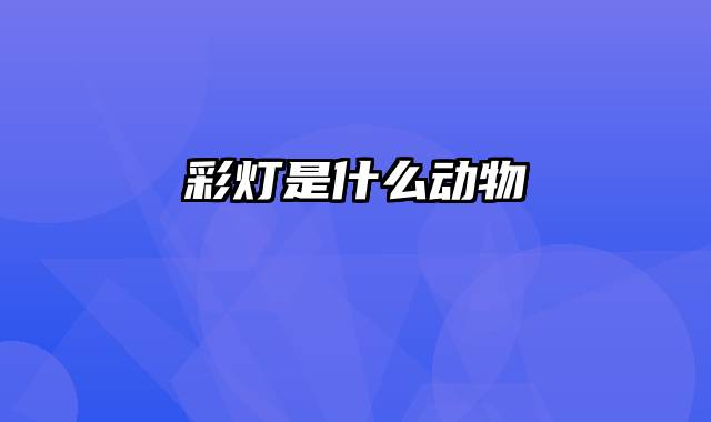 彩灯是什么动物