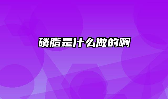 磷脂是什么做的啊